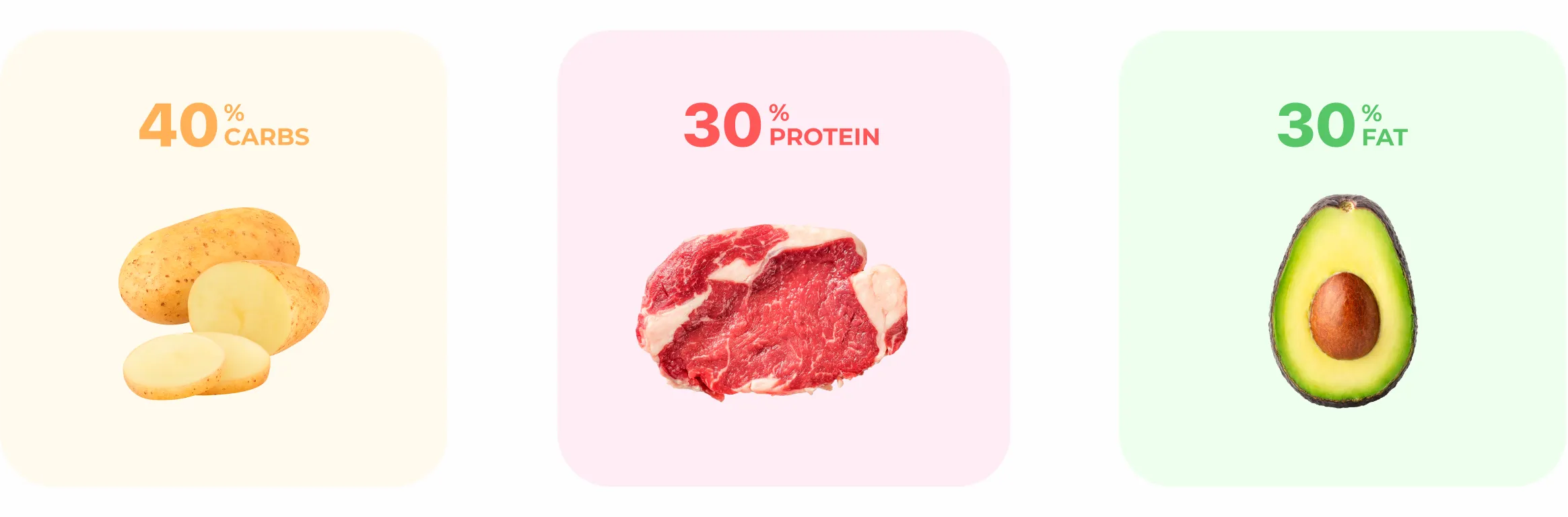 Macronutrients breakdown showing protein carbohydrates and fats as essential nutrients for body function and performance